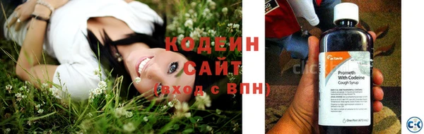 гидра Богданович
