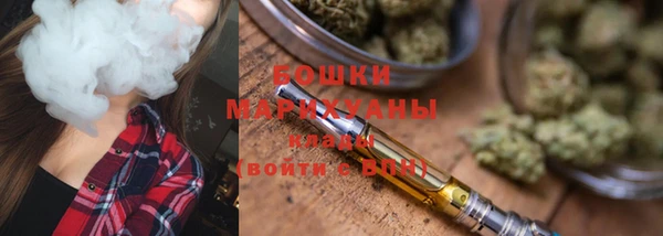 гидра Богданович