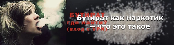 гидра Богданович
