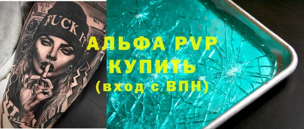 гидра Богданович