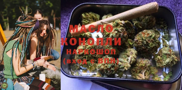 гидра Богданович