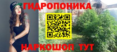 jwh Моздок