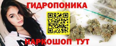 амф Можга