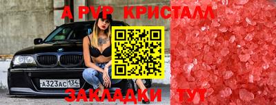 амф Можга