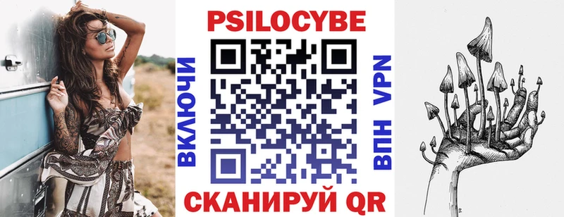 Галлюциногенные грибы Psilocybine cubensis  закладка  Бузулук 