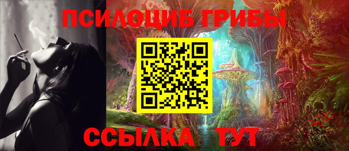 Псилоцибиновые грибы Psilocybe  Псилоцибиновые грибы MAGIC MUSHROOMS  Бузулук  Вход с VPN 