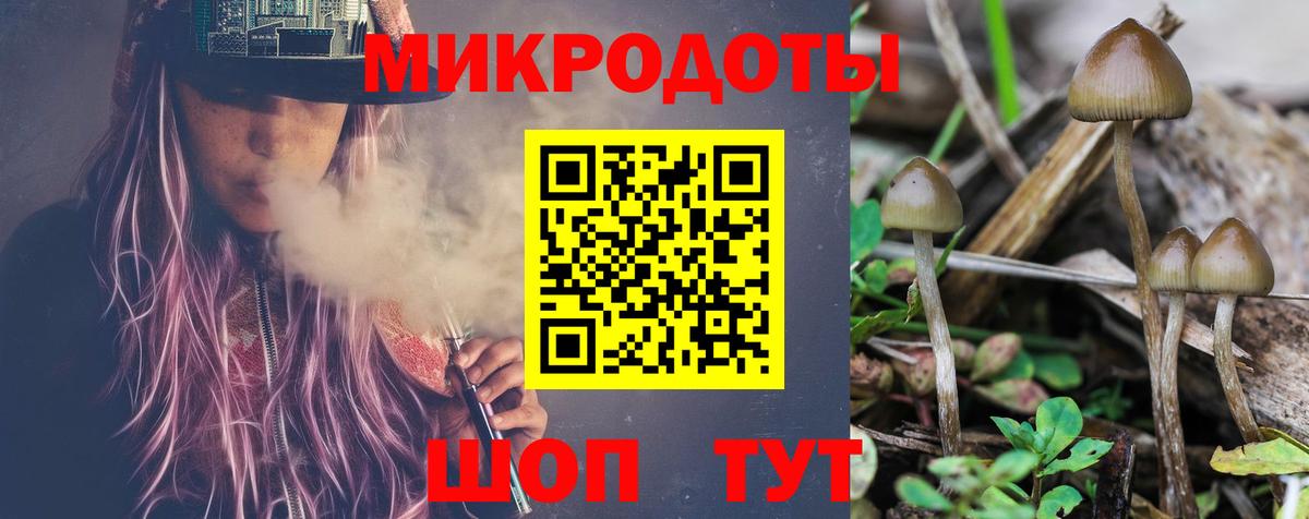 Галлюциногенные грибы Cubensis Бузулук
