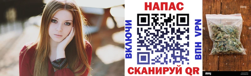 blacksprut сайт  как найти закладки  Бузулук  Каннабис сатива 